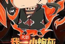 火影：我一小炮灰，咋就成团宠了？早间晴子，火影：我一小炮灰，咋就成团宠了？最新章节-锤石文学