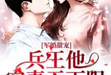 完结版《军婚甜宠：兵王他宠妻无下限》免费阅读-锤石文学