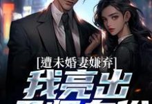 完结版《遭未婚妻嫌弃，我亮出天师身份》免费阅读-锤石文学