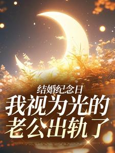 完结版《结婚纪念日，我视为光的老公出轨了》章节阅读