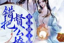 完结版《开局镇王妃，错把督公撩》章节目录在线阅读-锤石文学