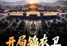 完结版《综武：开局锦衣卫，无敌镇山河！》章节阅读-锤石文学