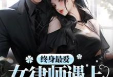 江燕回叶思怡小说《终身最爱：女律师遇上邪魅总裁》在线阅读-锤石文学