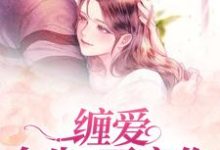 纏愛：今生，要定你小說的無彈窗閱讀體驗，尋找免費閱讀網站-錘石文學