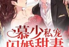 完结版《慕少私宠闪婚甜妻》免费阅读-锤石文学