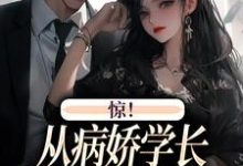 《惊！从病娇学长身边逃跑失败了》全集免费在线阅读（叶寒向暖）-锤石文学