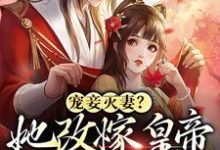 完结版《宠妾灭妻？她改嫁皇帝生皇子》章节阅读-锤石文学