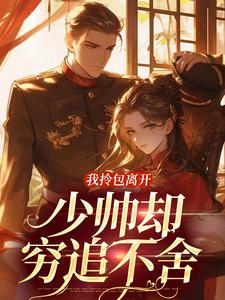 已完结小说《我拎包离开，少帅却穷追不舍》章节在线阅读