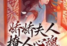 颜心景元钊小说娇娇夫人撩人心魂,冷傲少帅拿命宠在线阅读-锤石文学