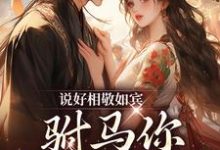 完结版《说好相敬如宾，驸马你干嘛宽衣》在线免费阅读-锤石文学