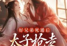 完结版《好兄弟死遁后，太子抢走了娇娇》在线免费阅读-锤石文学