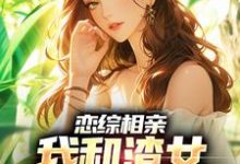 小说《恋综相亲：我和渣女小姨恋爱了》章节阅读-锤石文学