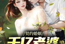 完结版《契约婚姻：千亿老婆太撩人》免费阅读-锤石文学