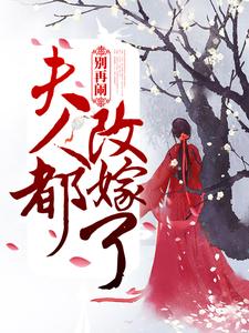 完结版《别再闹！夫人都改嫁了》章节阅读