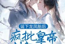 完结版《诞下龙凤胎后，疯批皇帝封我为后》免费阅读-锤石文学