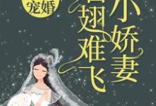 求豪门宠婚：小娇妻插翅难飞小说免费资源-锤石文学