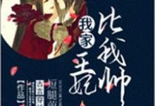 完结版《我家王妃比我帅》免费阅读-锤石文学