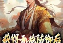 完结版《获得无敌防御后，我在大清造反》章节目录在线阅读-锤石文学