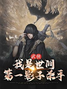 《武侠：我是世间第一影子杀手》小说王易章节章节免费在线阅读