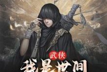 完结版《武侠：我是世间第一影子杀手》章节阅读-锤石文学