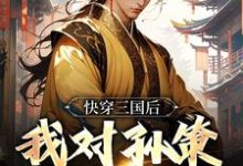 完结版《快穿三国后，我对孙策斩草除根》章节目录在线阅读-锤石文学