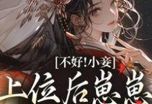 完结版《不好！小妾上位后崽崽带娘另嫁》免费阅读-锤石文学