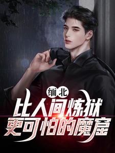 李强小说《缅北：比人间炼狱更可怕的魔窟》在线阅读