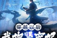 完结版《穿越以后，我抱紧宠妃姐姐的大腿》在线免费阅读-锤石文学