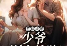 完结版《惹债成婚：少爷，别太放肆》章节目录在线阅读-锤石文学