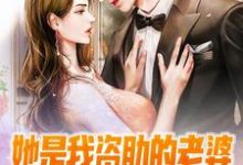 完结版《她是我资助的老婆，谁敢忽悠？》在线免费阅读-锤石文学