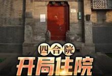 在线寻找四合院：开局住院，我红颜不断小说的无删减版本-锤石文学