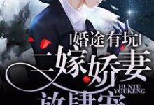 完结版《婚途有坑：二嫁娇妻放肆宠》在线免费阅读-锤石文学