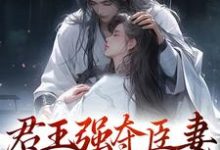 已完結小說《君王強奪臣妻,只為驚鴻一面》章節在線閱讀-錘石文學
