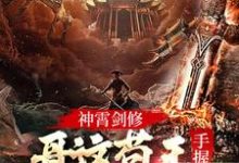 完结版《神霄剑修：哥这苟王手握七剑成最强》免费阅读-锤石文学