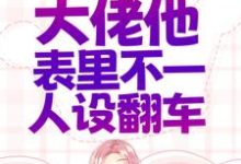 完结版《错惹疯批:大佬他表里不一人设翻车》免费阅读-锤石文学