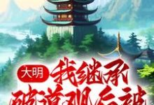 小说《大明：我继承破道观后被奉为神仙》在线章节阅读-锤石文学