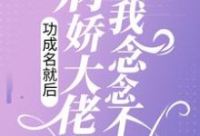 完结版《功成名就后，病娇大佬对我念念不忘》章节阅读-锤石文学