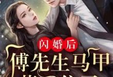 完结版《闪婚后：傅先生马甲藏不住了》章节目录在线阅读-锤石文学