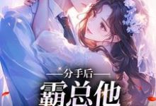 分手后,霸总他坐不住了宋星辰顾临砚,分手后,霸总他坐不住了最新章节-锤石文学