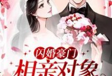 闪婚豪门：相亲对象是大佬许南音陆南骁，闪婚豪门：相亲对象是大佬最新章节-锤石文学