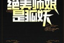 阴阳先生：绝美师娘是狐妖陈九胡眉，阴阳先生：绝美师娘是狐妖最新章节-锤石文学