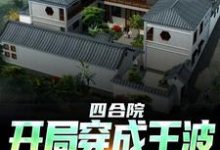 四合院：开局穿成王波，拒绝白嫖王波，四合院：开局穿成王波，拒绝白嫖最新章节-锤石文学