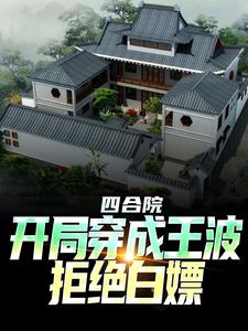 四合院：开局穿成王波，拒绝白嫖王波，四合院：开局穿成王波，拒绝白嫖最新章节